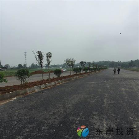 岷东大道东坡段5.8公里道路隔离带绿化工程(图9)
